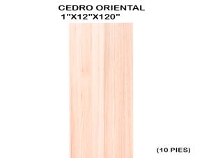 Regla De Cedro Oriental 1\