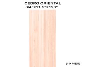 REGLA DE CEDRO ORIENTAL 3/4\
