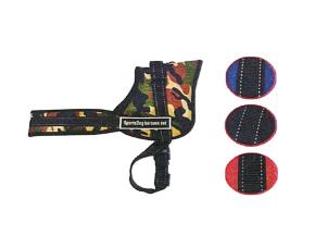 Arnes M De Colocacion Facil