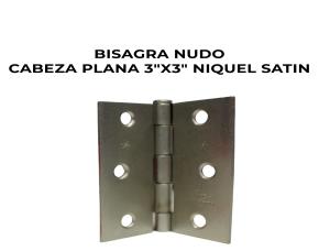 Bisagra Nudo Cabeza Plana 3\
