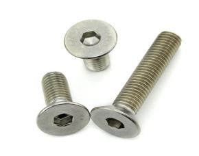 Tornillo M6X20 Ss Concabeza Interno Hexagonal Ac.inoxidable  Aisi316