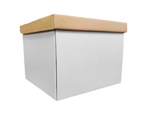 Caja Alta 14\