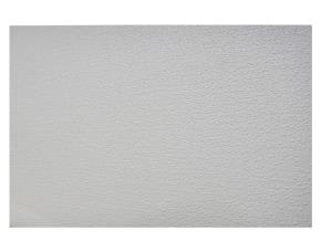 Lamina De Yeso Para Cielo Falso Con Forro Aluminio 7Mm 2X4